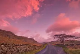 娱乐新体验-关于纽伦堡在客场带走一分，延续不败状态的信息