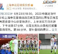 斯洛伐克险胜晋级，淘汰赛惊险百态的简单介绍